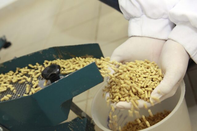 How to Get an FDA Animal Feeds Certification